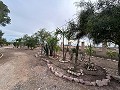 2 landhuizen in Novada in Alicante Dream Homes API 1122