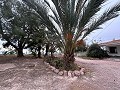 2 landhuizen in Novada in Alicante Dream Homes API 1122