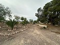 2 landhuizen in Novada in Alicante Dream Homes API 1122