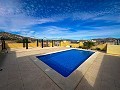 Incredible villa with pool in Pinoso in Alicante Dream Homes API 1122