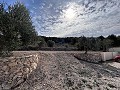 Incredible villa with pool in Pinoso in Alicante Dream Homes API 1122