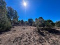 Beeindruckende Villa mit 9 Schlafzimmern in Biar in Alicante Dream Homes API 1122