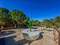 Beeindruckende Villa mit 9 Schlafzimmern in Biar in Alicante Dream Homes API 1122