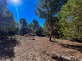 Beeindruckende Villa mit 9 Schlafzimmern in Biar in Alicante Dream Homes API 1122