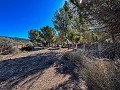 Beeindruckende Villa mit 9 Schlafzimmern in Biar in Alicante Dream Homes API 1122
