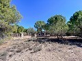 Beeindruckende Villa mit 9 Schlafzimmern in Biar in Alicante Dream Homes API 1122