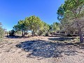 Beeindruckende Villa mit 9 Schlafzimmern in Biar in Alicante Dream Homes API 1122