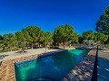 Beeindruckende Villa mit 9 Schlafzimmern in Biar in Alicante Dream Homes API 1122