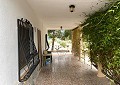 Villa de 3 chambres et 1 salle de bain très bien située avec piscine et maison d'hôtes de 2 étages à Sax in Alicante Dream Homes API 1122