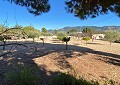 Villa de 3 chambres et 1 salle de bain très bien située avec piscine et maison d'hôtes de 2 étages à Sax in Alicante Dream Homes API 1122