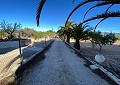 Villa de 3 chambres et 1 salle de bain très bien située avec piscine et maison d'hôtes de 2 étages à Sax in Alicante Dream Homes API 1122