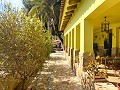 Villa mit 3 Schlafzimmern und 2 Bädern. Gehen Sie in die Stadt Novelda in Alicante Dream Homes API 1122
