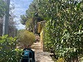 Villa mit 3 Schlafzimmern und 2 Bädern. Gehen Sie in die Stadt Novelda in Alicante Dream Homes API 1122
