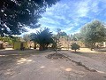 Villa mit 3 Schlafzimmern und 2 Bädern. Gehen Sie in die Stadt Novelda in Alicante Dream Homes API 1122