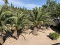 Villa mit 3 Schlafzimmern und 2 Bädern. Gehen Sie in die Stadt Novelda in Alicante Dream Homes API 1122