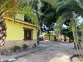 Villa mit 3 Schlafzimmern und 2 Bädern. Gehen Sie in die Stadt Novelda in Alicante Dream Homes API 1122
