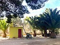 Villa mit 3 Schlafzimmern und 2 Bädern. Gehen Sie in die Stadt Novelda in Alicante Dream Homes API 1122