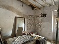 Grande Maison de Ville avec Cour et Garage in Alicante Dream Homes API 1122
