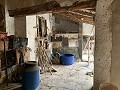 Grande Maison de Ville avec Cour et Garage in Alicante Dream Homes API 1122