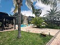 Incroyable demeure de luxe à Elda in Alicante Dream Homes API 1122