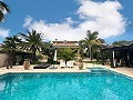 Incroyable demeure de luxe à Elda in Alicante Dream Homes API 1122