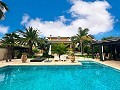 Incroyable demeure de luxe à Elda in Alicante Dream Homes API 1122