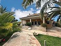 Incroyable demeure de luxe à Elda in Alicante Dream Homes API 1122