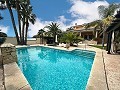 Incroyable demeure de luxe à Elda in Alicante Dream Homes API 1122