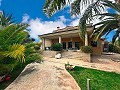 Incroyable demeure de luxe à Elda in Alicante Dream Homes API 1122
