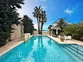 Incroyable demeure de luxe à Elda in Alicante Dream Homes API 1122