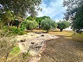 Increíble villa a 10 minutos de la playa en Mutxamel in Alicante Dream Homes API 1122