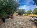 Increíble villa a 10 minutos de la playa en Mutxamel in Alicante Dream Homes API 1122