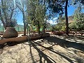 Landhuis om te renoveren in Jumilla in Alicante Dream Homes API 1122