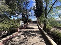 Landhuis om te renoveren in Jumilla in Alicante Dream Homes API 1122