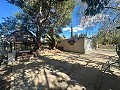 Landhuis om te renoveren in Jumilla in Alicante Dream Homes API 1122