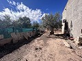 Landhuis om te renoveren in Jumilla in Alicante Dream Homes API 1122