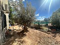 Landhuis om te renoveren in Jumilla in Alicante Dream Homes API 1122