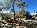 Landhuis om te renoveren in Jumilla in Alicante Dream Homes API 1122