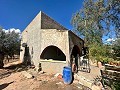 Landhuis om te renoveren in Jumilla in Alicante Dream Homes API 1122