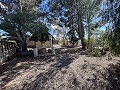 Landhuis om te renoveren in Jumilla in Alicante Dream Homes API 1122