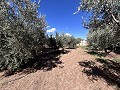 Landhuis om te renoveren in Jumilla in Alicante Dream Homes API 1122