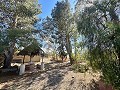 Landhuis om te renoveren in Jumilla in Alicante Dream Homes API 1122