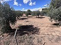 Landhuis om te renoveren in Jumilla in Alicante Dream Homes API 1122