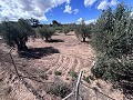 Landhuis om te renoveren in Jumilla in Alicante Dream Homes API 1122