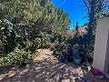 Maison de campagne spacieuse de 8 pièces à rénover à Yecla in Alicante Dream Homes API 1122