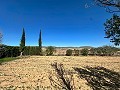 Maison de campagne spacieuse de 8 pièces à rénover à Yecla in Alicante Dream Homes API 1122
