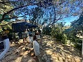 Maison de campagne spacieuse de 8 pièces à rénover à Yecla in Alicante Dream Homes API 1122