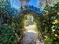 Maison de campagne spacieuse de 8 pièces à rénover à Yecla in Alicante Dream Homes API 1122