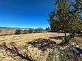 Maison de campagne spacieuse de 8 pièces à rénover à Yecla in Alicante Dream Homes API 1122