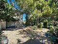 Maison de campagne spacieuse de 8 pièces à rénover à Yecla in Alicante Dream Homes API 1122